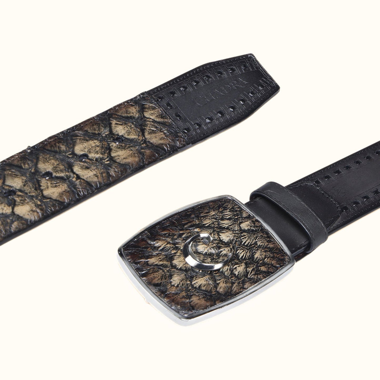 Cuadra Black Pirarucu Leather Rodeo belt strap
