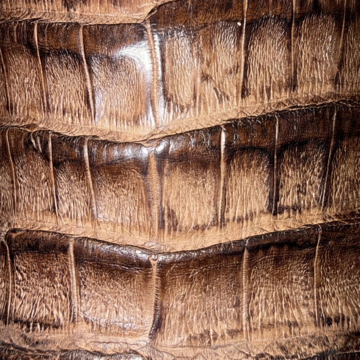 Close-up of caiman leather texture on Cuadra Men’s Brown Caiman Embroidery and Woven Narrow Square Toe Boot
