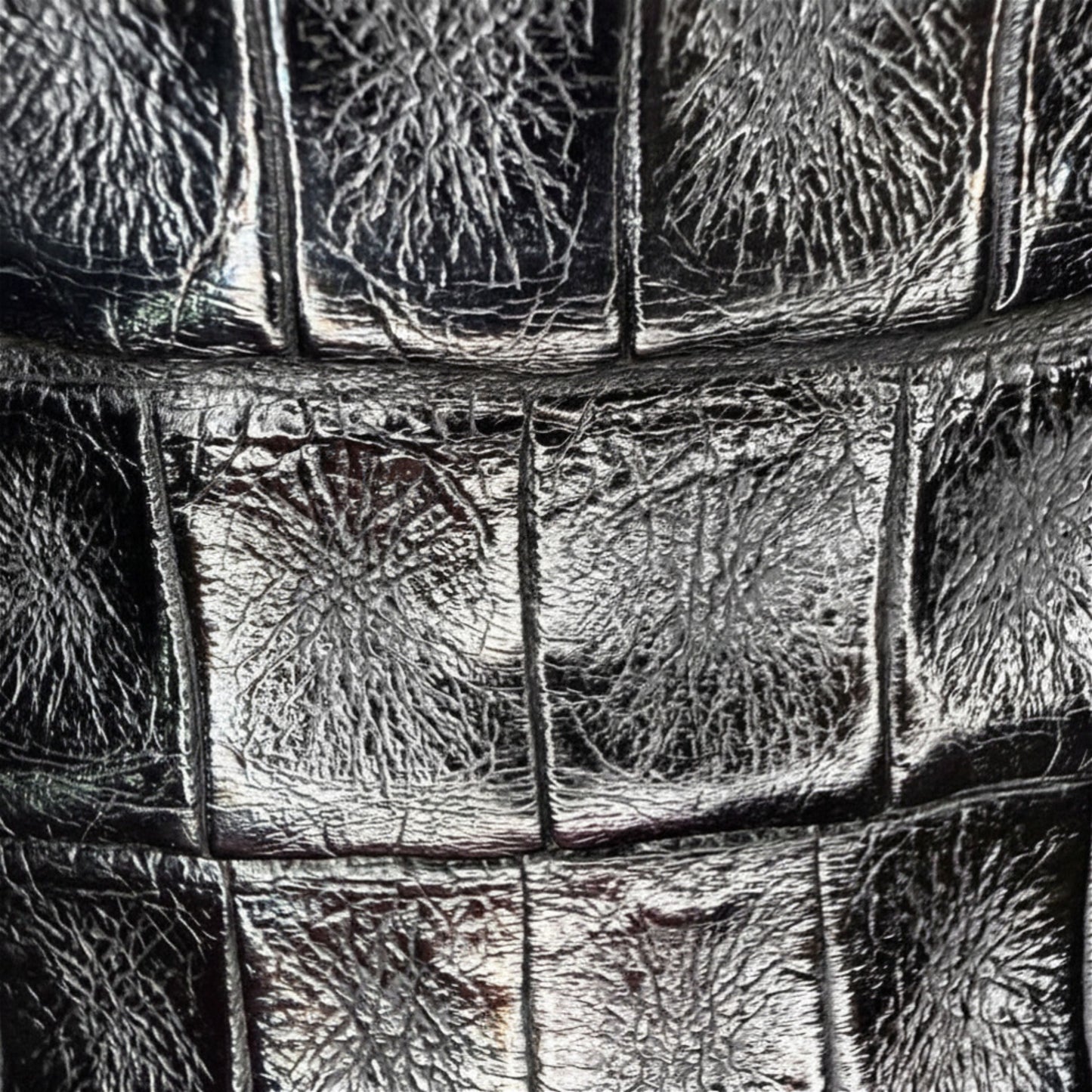 Close-up of side emblem detail on Vestigium Black Caiman Belly Boot