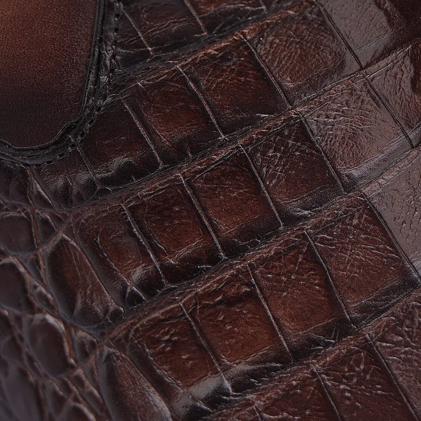 Bota de vestir de piel de cocodrilo genuina