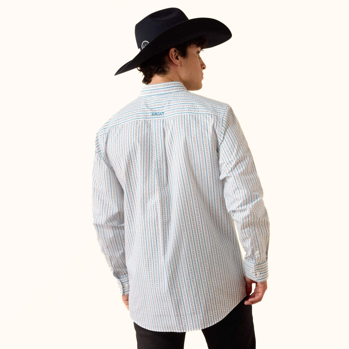 Ariat Crow Fitted Shirt in light blue back view