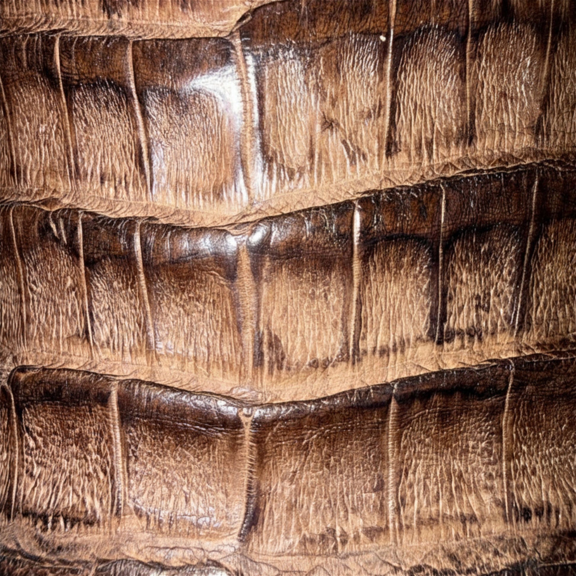 Close-up of caiman leather texture on Cuadra Men’s Brown Caiman Embroidery and Woven Narrow Square Toe Boot